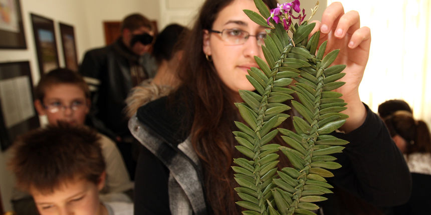 Na zadarskim otocima zivi tradicija pletenja maslinovih grancica koje se na blagdan Cvjetnice nose na blagolov. Etnoloski odjel Narodnog muzeja organizirao je radionicu pletenja grancica. Na fotografiji: Iva Radovic iz Graficke skole drzi ispletenu granci