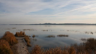 Đir uz Vransko jezero, Foto: Iva Perinić Đir uz Vransko jezero, Foto: Iva Perinić