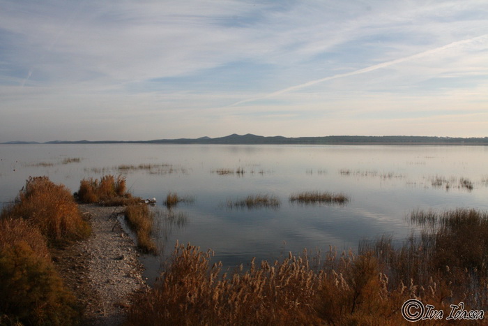 Đir uz Vransko jezero, Foto: Iva Perinić Đir uz Vransko jezero, Foto: Iva Perinić