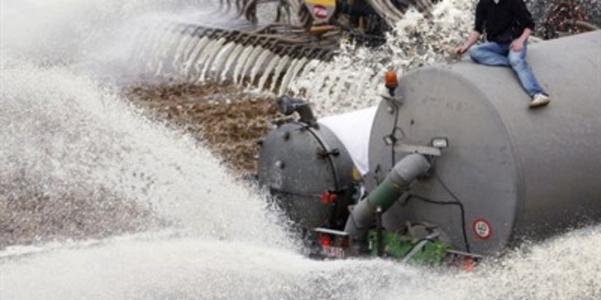 Belgijski mljekari izlijevaju mlijeko (foto: Tportal)