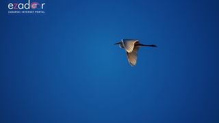 Nedjeljno svitanje na Vranskom jezeru Nedjeljno svitanje na Vranskom jezeru