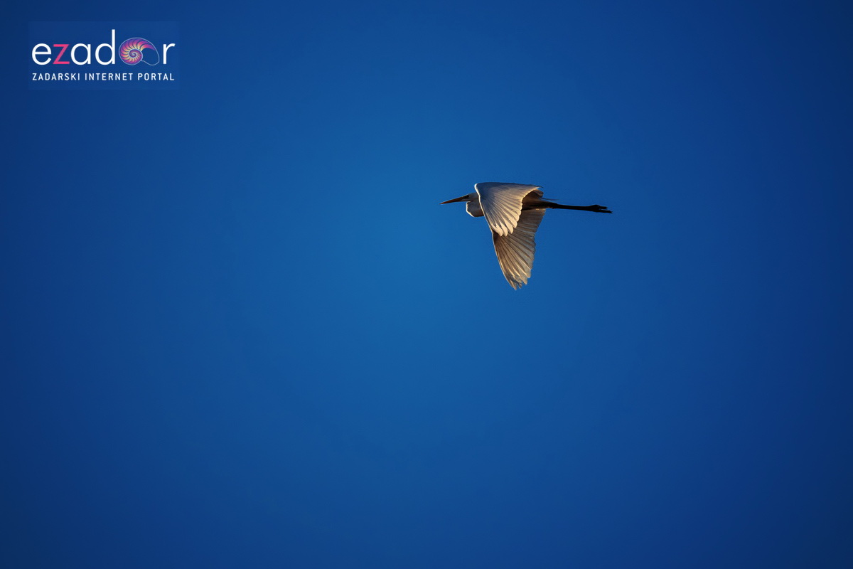 Nedjeljno svitanje na Vranskom jezeru Nedjeljno svitanje na Vranskom jezeru