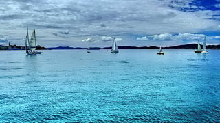 Zadarska regata 2014.  Foto: Leonard Kvarantan