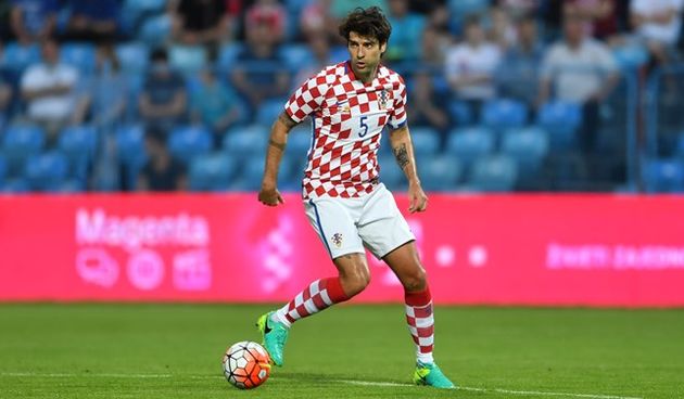 Vedran Ćorluka, foto: HNS