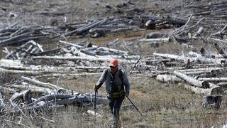 16.03.2014., Juzni Velebit – Topljenje snijega na Juznom Velebitu i procvjetani prvi planinski cvjetovi u ranom proljecu najavljuju skorasnje toplije vrijeme. Photo: Filip Brala/PIXSELL Autor Filip Brala/PIXSELL Ključne riječi rekreacija, planina, pro 16.03.2014., Juzni Velebit – Topljenje snijega na Juznom Velebitu i procvjetani prvi planinski cvjetovi u ranom proljecu najavljuju skorasnje toplije vrijeme. Photo: Filip Brala/PIXSELL Autor Filip Brala/PIXSELL Ključne riječi rekreacija, planina, pro