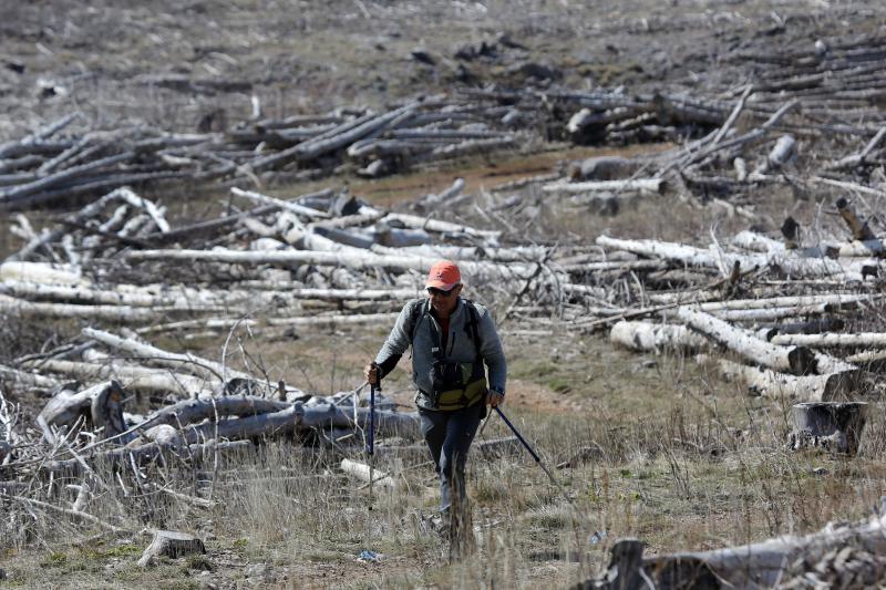 16.03.2014., Juzni Velebit – Topljenje snijega na Juznom Velebitu i procvjetani prvi planinski cvjetovi u ranom proljecu najavljuju skorasnje toplije vrijeme. Photo: Filip Brala/PIXSELL Autor Filip Brala/PIXSELL Ključne riječi rekreacija, planina, pro 16.03.2014., Juzni Velebit – Topljenje snijega na Juznom Velebitu i procvjetani prvi planinski cvjetovi u ranom proljecu najavljuju skorasnje toplije vrijeme. Photo: Filip Brala/PIXSELL Autor Filip Brala/PIXSELL Ključne riječi rekreacija, planina, pro