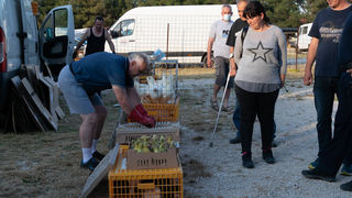 Benkovački sajam 09.06.2021