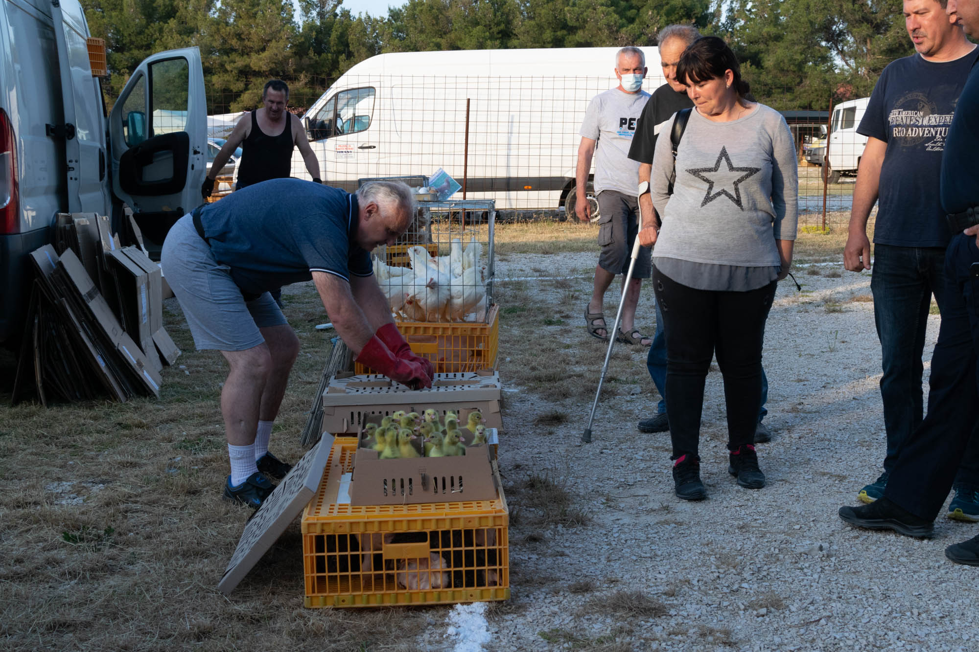 Benkovački sajam 09.06.2021