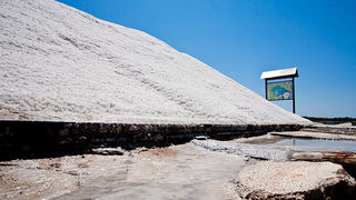 Solana Nin, berba soli, foto: Leo Banić