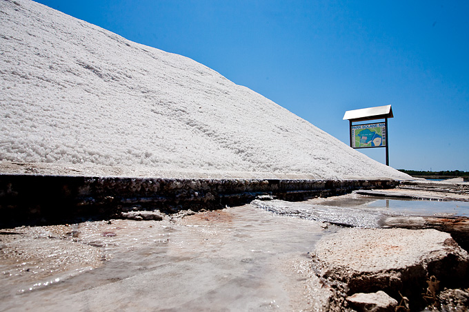 Solana Nin, berba soli, foto: Leo Banić