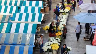 Započela prodaja cvijeća na zadarskoj tržnici, foto-I. Perinčić Započela prodaja cvijeća na zadarskoj tržnici, foto-I. Perinčić