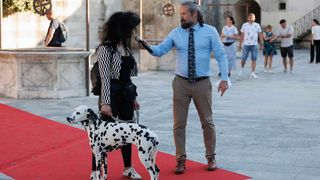 Red Carpet Dalmatian Walk @Trg pet bunara Red Carpet Dalmatian Walk @Trg pet bunara