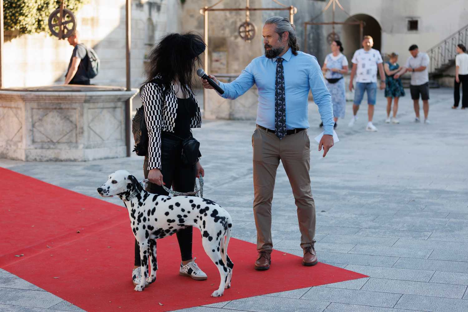 Red Carpet Dalmatian Walk @Trg pet bunara Red Carpet Dalmatian Walk @Trg pet bunara