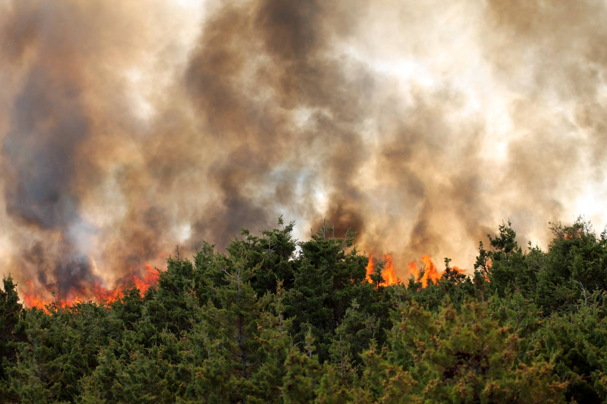 Lokaliziran požar kod Košljuna na otoku Pagu Lokaliziran požar kod Košljuna na otoku Pagu
