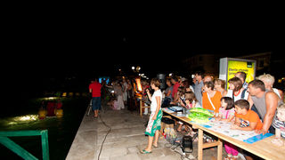 Biograd na Moru: 3. Morska alga, Foto: Franjo Jurić