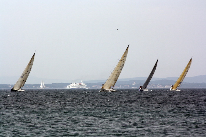 ORC kup Hrvatske: Zadarki kup 2010., Foto. Mladen Malik