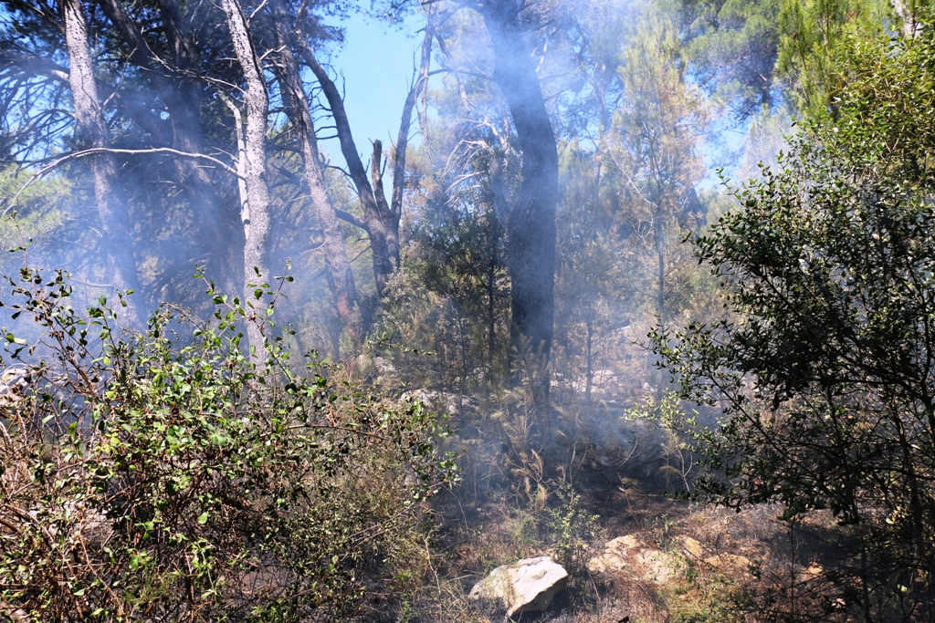 Vir: Požar u Lozicama u potpunosti ugašen Vir: Požar u Lozicama u potpunosti ugašen