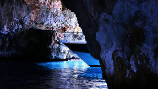 Image 1117663 (auto)