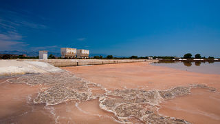 Solana Nin, berba soli, foto: Leo Banić