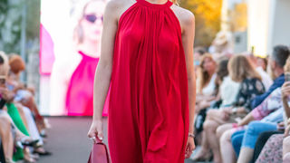 ELFS Cruise collection 2022