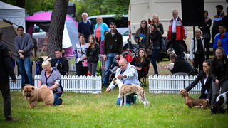 16. Međunarodna izložba pasa CACIB Zadar – Prvak prvaka 2016. 16. Međunarodna izložba pasa CACIB Zadar – Prvak prvaka 2016.