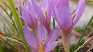 Svilaja, 18 rujna 2010