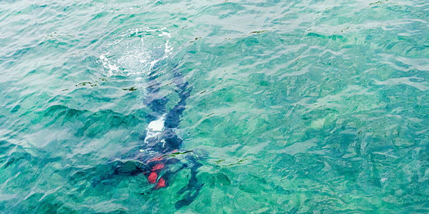 Bibinje: Akcija ciscenja podmora i priobalja, Foto: Leo Banic Bibinje: Akcija ciscenja podmora i priobalja, Foto: Leo Banic