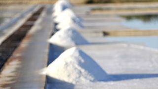 Danas je u Ninu održana berba Cvijeta soli u kojoj su sudjelovali Mate Janković, poznati hrvatski chef, Damir Oštrić, direktor Solane Nin i Marija Dejanović, direktorica Turističke zajednice grada Nina