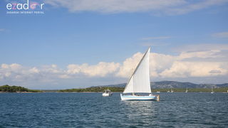 Murter: 22. regata Latinsko idro