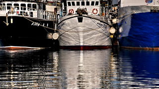 Svitanje i rano jutro u novoj luci Gaženica