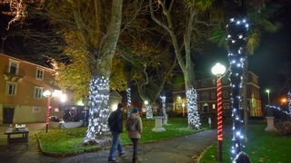 Advent u Zadru: Giuliano raspjevao i rasplesao Zadrane Advent u Zadru: Giuliano raspjevao i rasplesao Zadrane