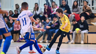 1.Cateleya indoor Cup 1.Cateleya indoor Cup