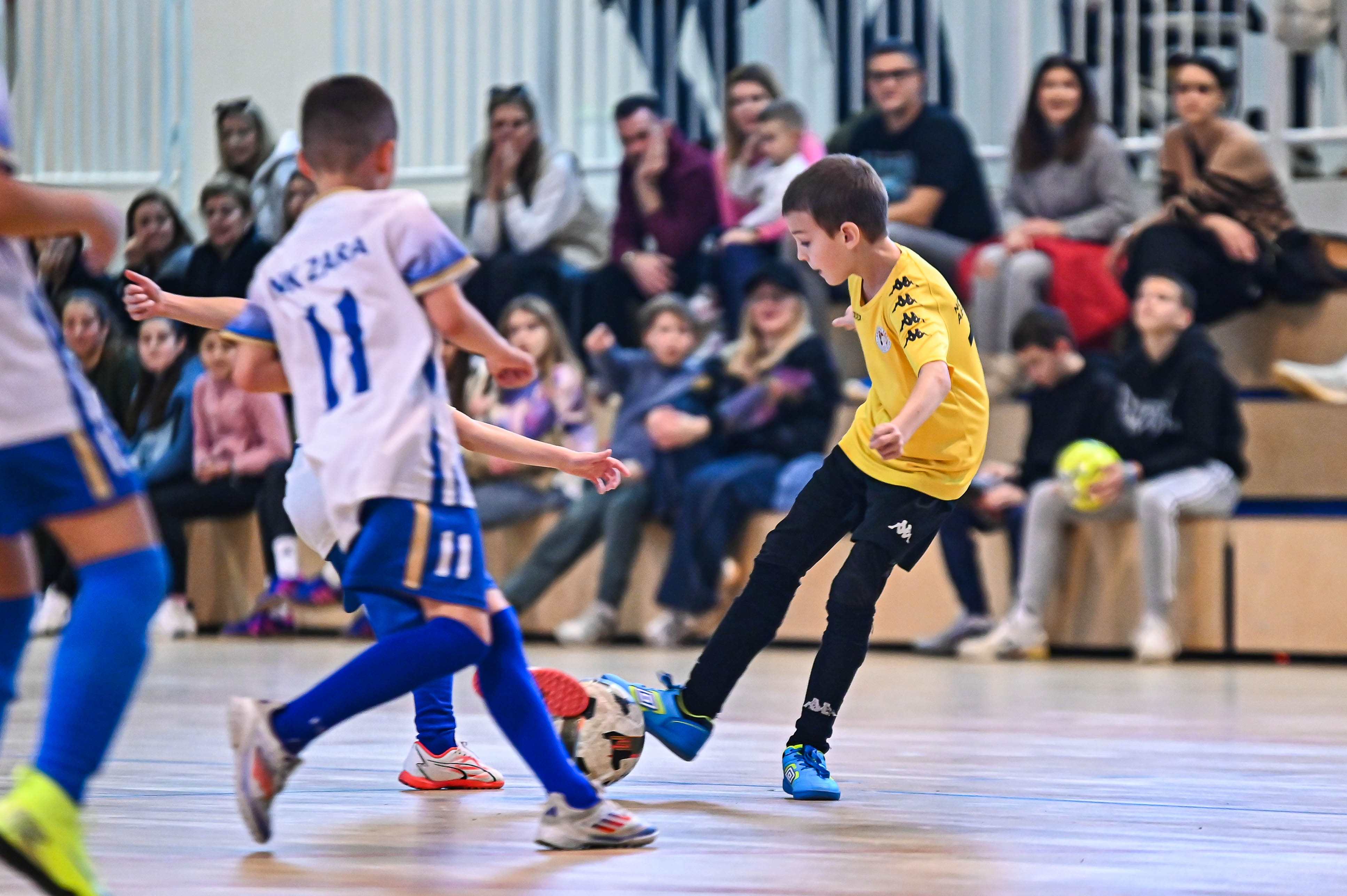 1.Cateleya indoor Cup 1.Cateleya indoor Cup
