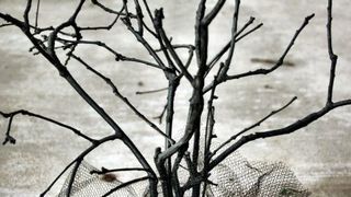 Halloween diy ideje dekoracije Halloween diy ideje dekoracije