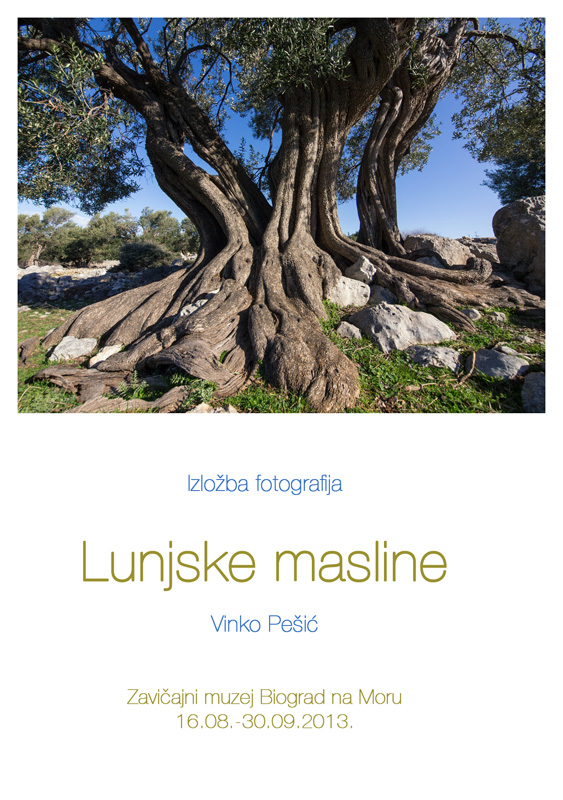Biograd na moru: Otvorena izložba fotografija “Lunjske masline” Biograd na moru: Otvorena izložba fotografija “Lunjske masline”