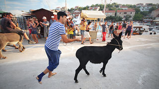 52. Saljske užance, 7. kolovoza 2011.(foto:Saša Čuka)