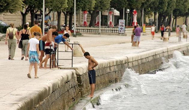 Image 1181851 (auto)