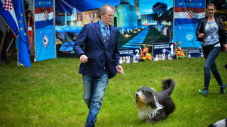 16. Međunarodna izložba pasa CACIB Zadar – Prvak prvaka 2016. 16. Međunarodna izložba pasa CACIB Zadar – Prvak prvaka 2016.