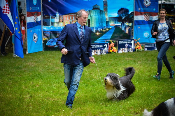 16. Međunarodna izložba pasa CACIB Zadar – Prvak prvaka 2016. 16. Međunarodna izložba pasa CACIB Zadar – Prvak prvaka 2016.