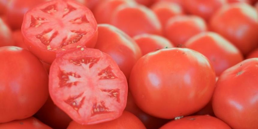 Pomidor, rajčica, pijaca, placa, 09.08.2014., Zagreb – Dnevna ponuda svjezeg povrca na trznici Dolac. Photo: Grgur Zucko/PIXSELL Pomidor, rajčica, pijaca, placa, 09.08.2014., Zagreb – Dnevna ponuda svjezeg povrca na trznici Dolac. Photo: Grgur Zucko/PIXSELL