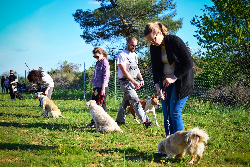 Kinološka udruga Malinois