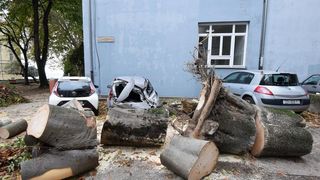 Zadar: Jak vjetar srušio stablo na parkirane automobile