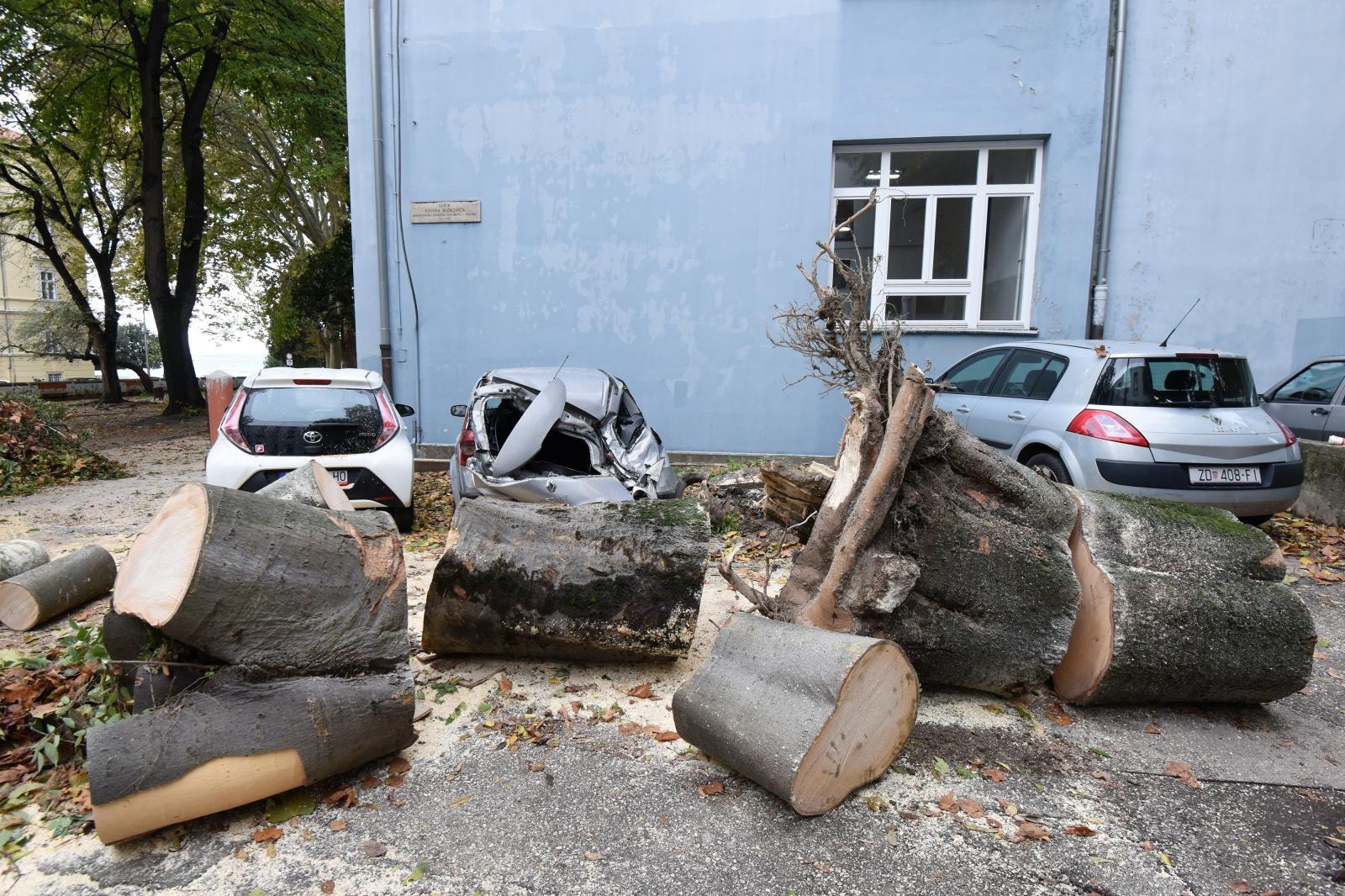 Zadar: Jak vjetar srušio stablo na parkirane automobile