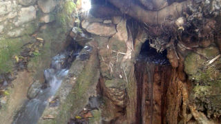 Krška rijela Karišnica. Foto: Edvard Šprljan Krška rijela Karišnica. Foto: Edvard Šprljan