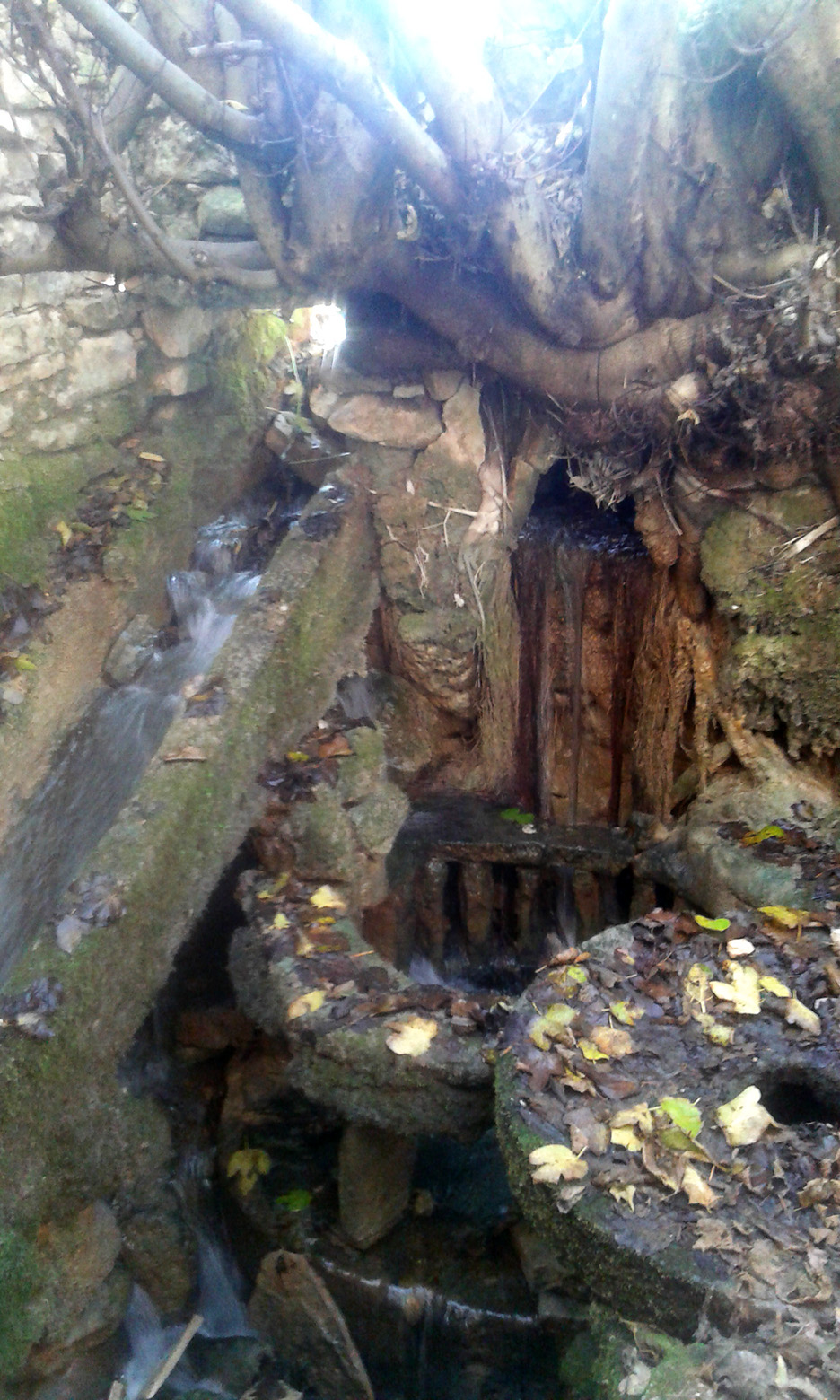 Krška rijela Karišnica. Foto: Edvard Šprljan Krška rijela Karišnica. Foto: Edvard Šprljan