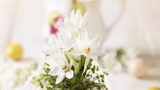 10 ideja za uređenje uskršnjeg stola, foto: Budi in 10 ideja za uređenje uskršnjeg stola, foto: Budi in