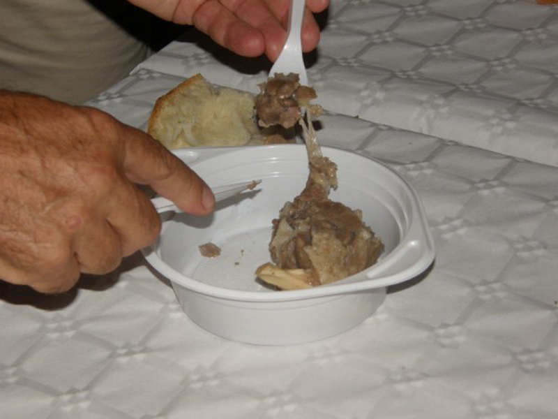 “Beeenkovac – janjetina & jaretina” jedinstven gastro događaj u Benkovcu “Beeenkovac – janjetina & jaretina” jedinstven gastro događaj u Benkovcu