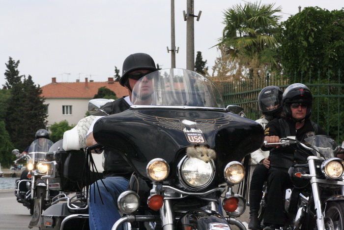 Povorka Harley Davidsona kroz Zadar 28. svibnja, Foto: Mladen Malik