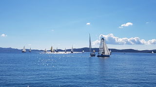 Zadarska Koka 2016. 22. listopada 2016. Foto: Mladen Malik Zadarska Koka 2016. 22. listopada 2016. Foto: Mladen Malik