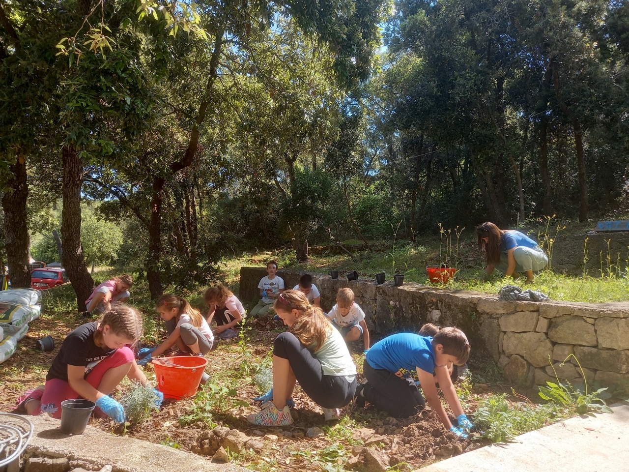 U sklopu Međunarodnog dana biološke raznolikosti u Nacionalnom parku Mljet organizirane eko aktivnosti za učenike